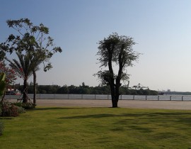 20190228-160902a.jpg
