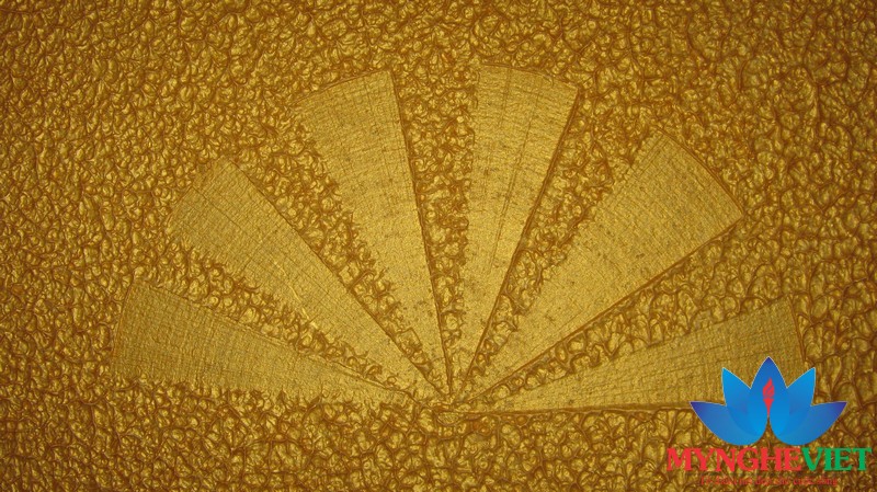 Sơn gai tường